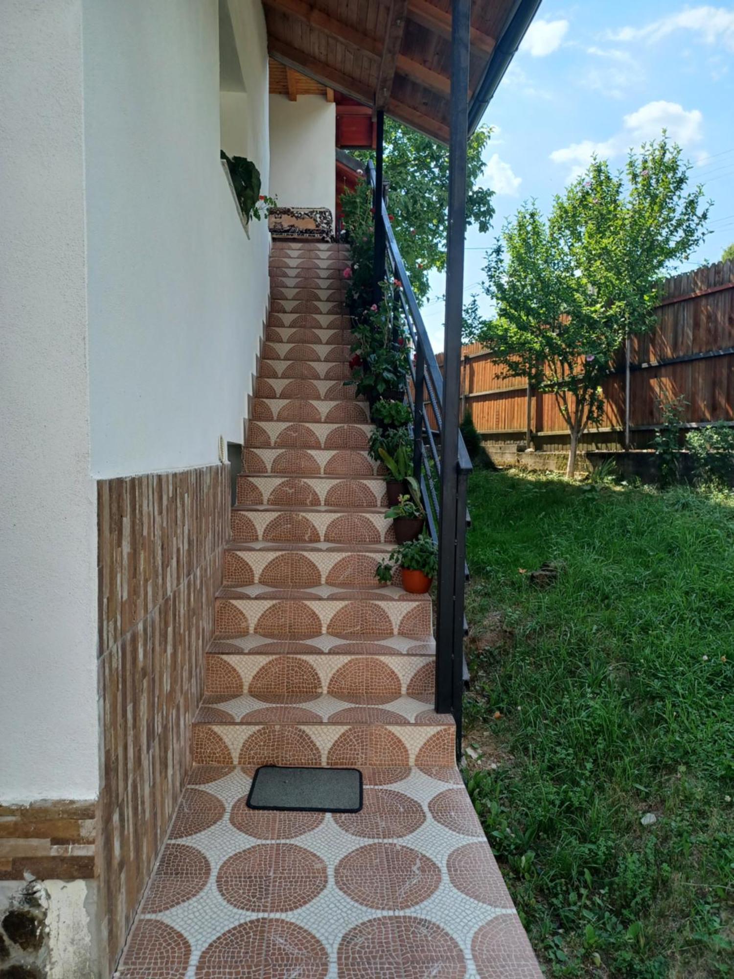 Casa Mariana - Comuna Arefu, Transfagarasan Capatineni-Ungureni Exterior photo
